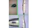 Aspirator vertical 900w si foarfeca gradina cu acumulator 498977 poza 1